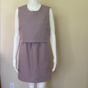 Forever 21 Textured Mauve Mini Dress